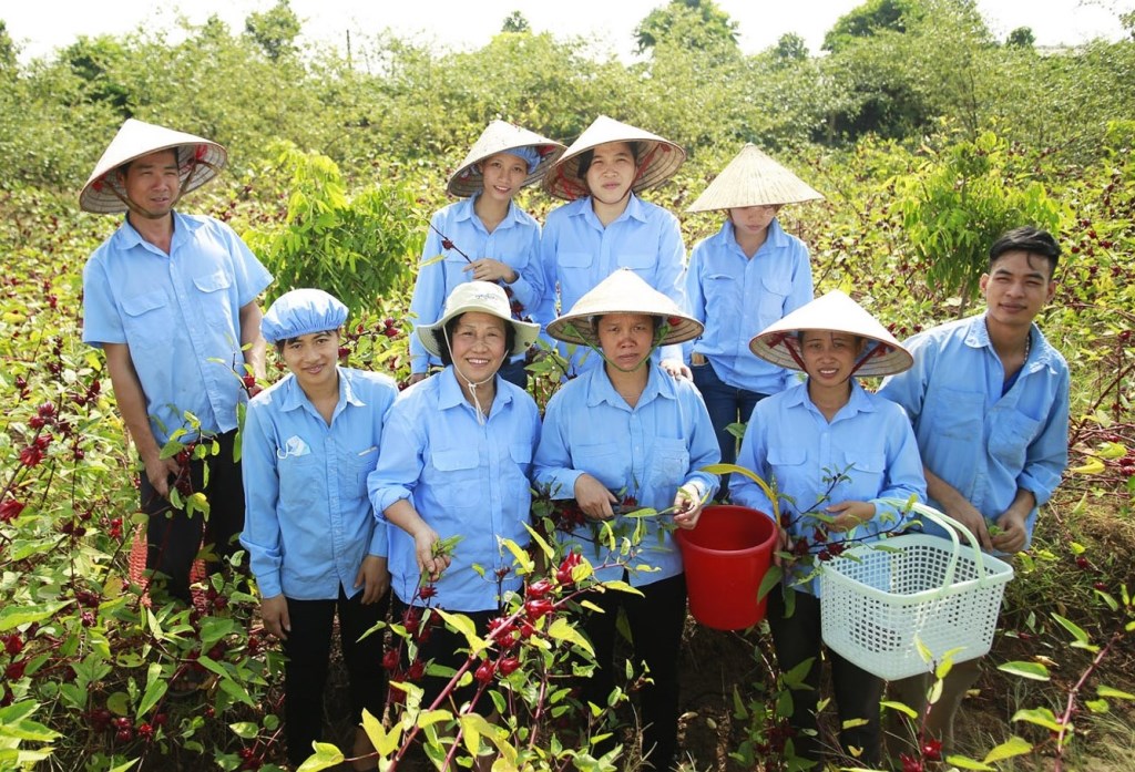 Lý do chọn Trao 12 Lý do chọn Trao 11