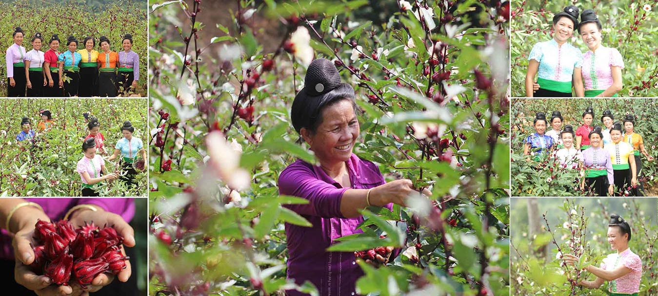 Lý do chọn Trao 13 Lý do chọn Trao 12