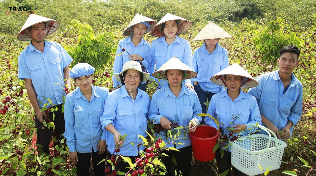 Khám phá vùng nguyên liệu và nhà máy của Trao 3