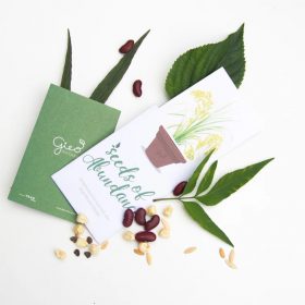 Lì xì hạt giống - Lì xì kiểu Việt Nam 3 Lì xì hạt giống - Lì xì kiểu Việt Nam 3