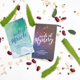 Lì xì hạt giống - Lì xì kiểu Việt Nam 6 Lì xì hạt giống - Lì xì kiểu Việt Nam 6