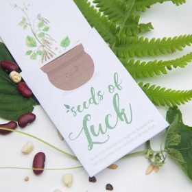 Lì xì hạt giống - Lì xì kiểu Việt Nam 4 Lì xì hạt giống - Lì xì kiểu Việt Nam 4