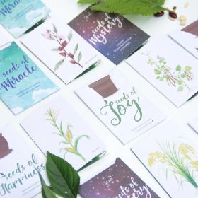 Lì xì hạt giống - Lì xì kiểu Việt Nam 8 Lì xì hạt giống - Lì xì kiểu Việt Nam 8