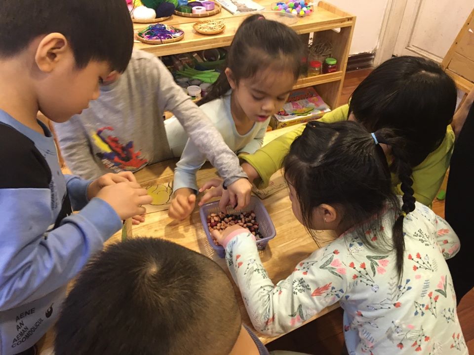 [Nhật kí Cuộc thi 2020] Hoạt động Thiết kế Lì xì Hạt giống tại trường Mầm non Mặt trời Bé Con 2