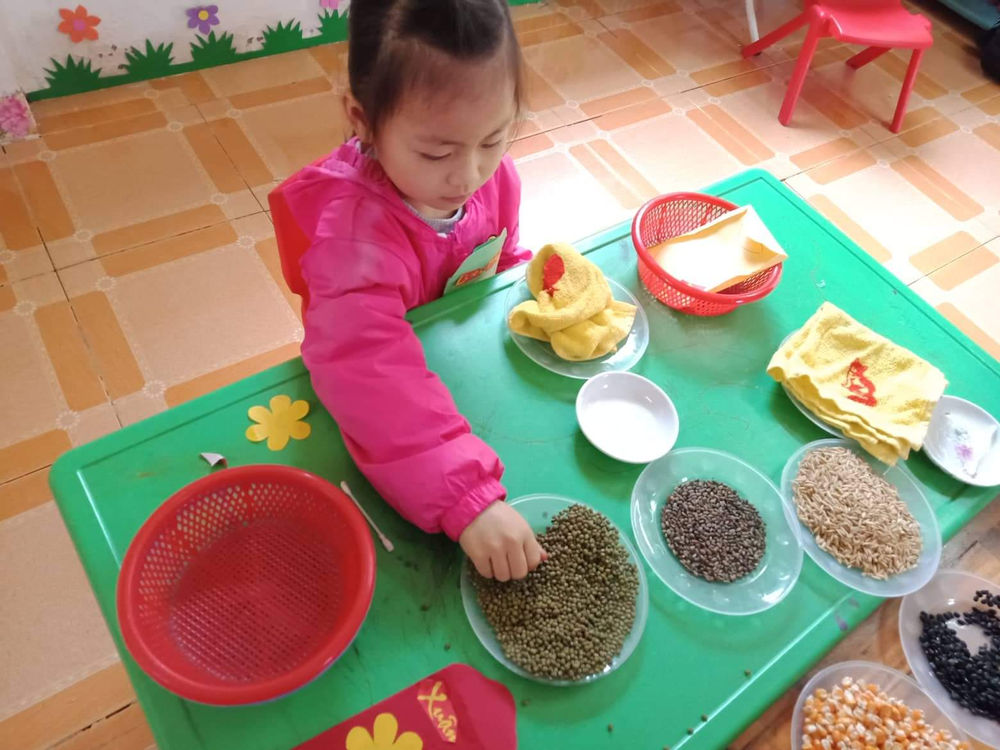 [Nhật ký Cuộc thi 2020] Thiết kế Lì xì Hạt giống cùng trường Mầm non Công Đa - Tuyên Quang 4