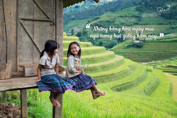 Thiết kế Lì xì hạt giống là một cuộc thi không có giải nhất 19