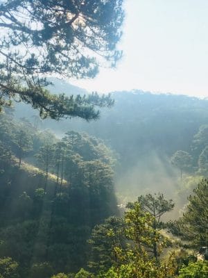 Nếu bạn muốn có một thứ bạn thích thì bạn sẽ phải từ bỏ một thứ bạn thích 17 Nếu bạn muốn có một thứ bạn thích thì bạn sẽ phải từ bỏ một thứ bạn thích 17