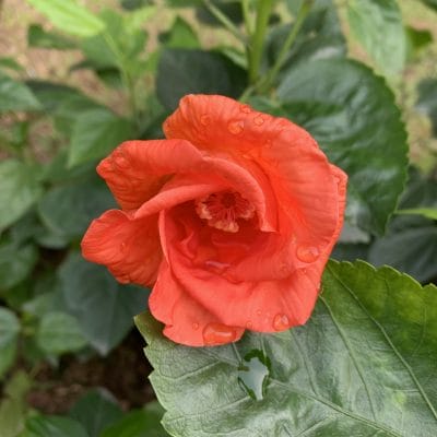 Viết xuống nỗi sợ 20 Viết xuống nỗi sợ 20
