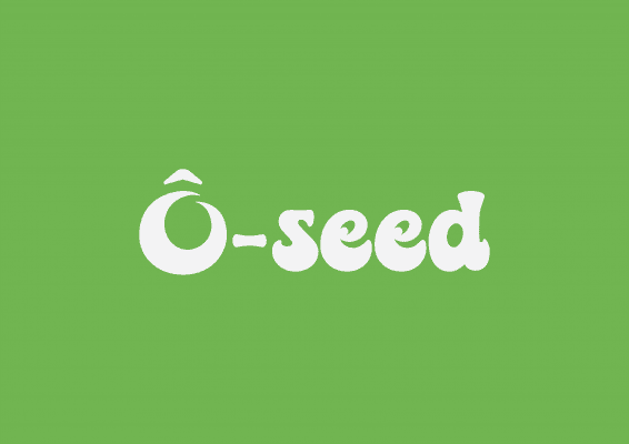 Gieo chuẩn bị ra mắt bộ sản phẩm mới mang tên Ô-seed 1