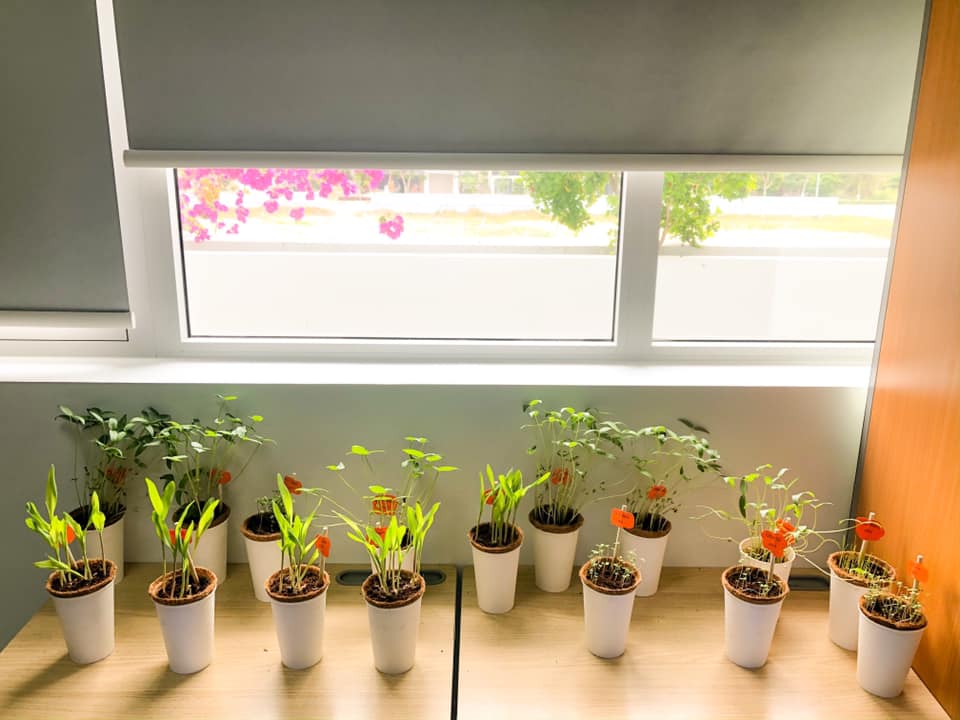 Khai giảng xanh: Trường Tiểu học FPT Đà Nẵng tặng Lì xì Hạt giống cho học sinh dịp đầu năm 13