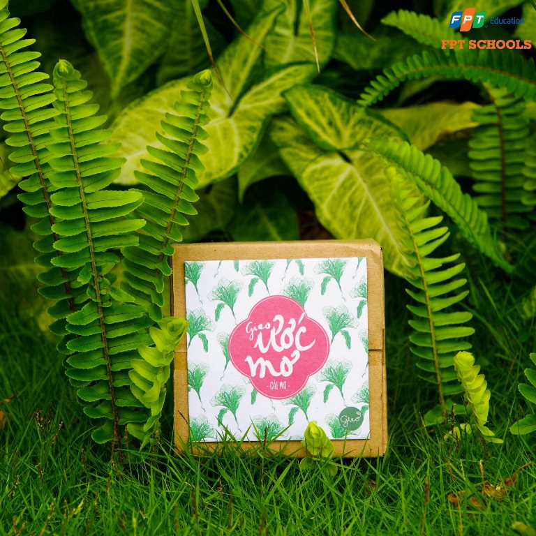 Khai giảng xanh: Trường Tiểu học FPT Đà Nẵng tặng Lì xì Hạt giống cho học sinh dịp đầu năm 11