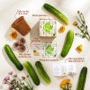 Bộ kit gieo hạt - Gieo vui - Hạt dưa chuột 3