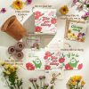 Bộ kit gieo hạt - Gieo yêu thương - Hạt hoa cánh bướm 11 Bộ kit gieo hạt - Gieo yêu thương - Hạt hoa cánh bướm 3