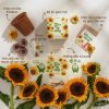 Bộ kit gieo hạt - Gieo hy vọng - Hạt hoa hướng dương 11 Bộ kit gieo hạt - Gieo hy vọng - Hạt hoa hướng dương 3