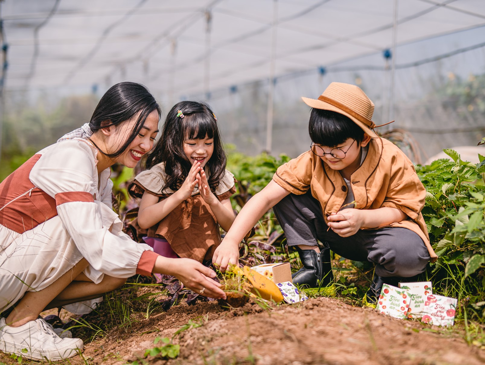 Báo Pháp luật: Lì xì hạt giống: Gieo lên Việt Nam! 5 Báo Pháp luật: Lì xì hạt giống: Gieo lên Việt Nam! 5