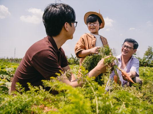 Tài liệu giảng dạy Lì xì Hạt giống 9