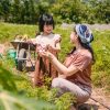 Bộ kit gieo hạt - Gieo yêu thương - Hạt hoa cánh bướm 16 Bộ kit gieo hạt - Gieo yêu thương - Hạt hoa cánh bướm 8