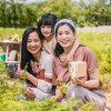 Phong bao hạt giống - Gieo bình an - Hạt cà chua bi 12 Phong bao hạt giống - Gieo bình an - Hạt cà chua bi 4