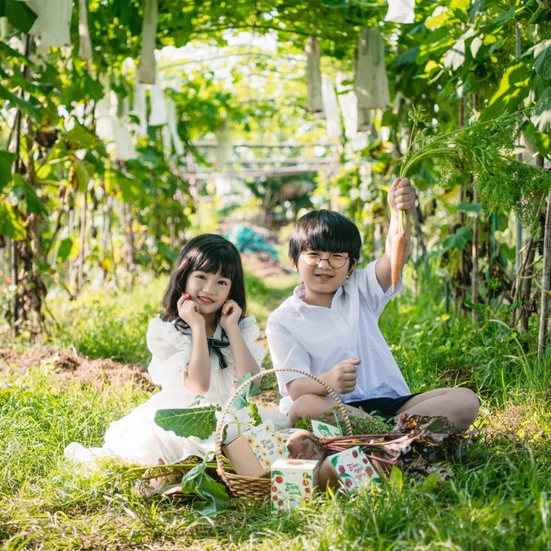 Về Gieo 11 Về Gieo 11