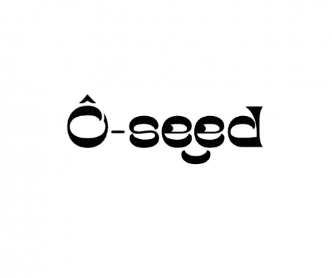 Những phiên bản logo Ô-seed không được chọn 3