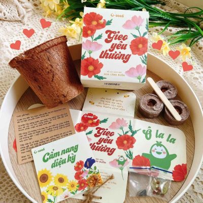 Bộ kit trồng cây cao cấp - món quà tinh tế JW Marriott lựa chọn dành tặng khách hàng 2