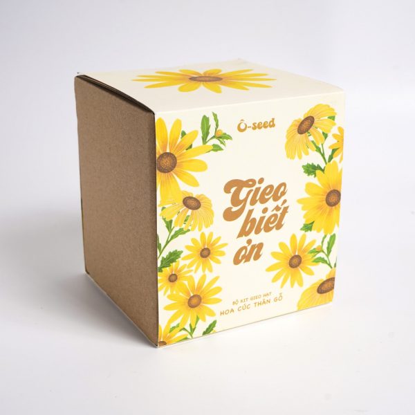 Bộ kit gieo hạt - Gieo biết ơn - Hạt hoa cúc thân gỗ