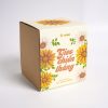 Bộ kit gieo hạt - Gieo chiến thắng - Hạt hoa cúc huân chương 2 Bộ kit gieo hạt - Gieo chiến thắng - Hạt hoa cúc huân chương 2