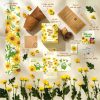 Bộ kit gieo hạt - Gieo biết ơn - Hạt hoa cúc thân gỗ 12 Bộ kit gieo hạt - Gieo biết ơn - Hạt hoa cúc thân gỗ 3