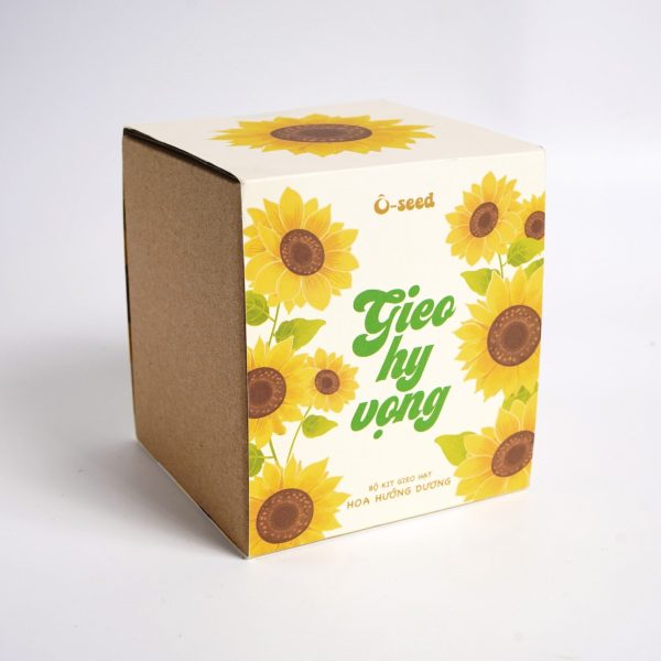 Bộ kit gieo hạt - Gieo hy vọng - Hạt hoa hướng dương