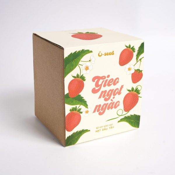 Bộ kit gieo hạt - Gieo ngọt ngào - Hạt dâu tây