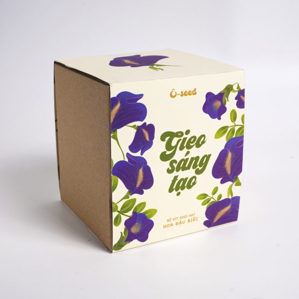 Bộ kit gieo hạt - Gieo sáng tạo - Hạt hoa đậu biếc