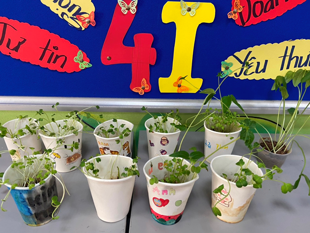 Khai giảng XANH: Thành quả Gieo hạt của các em học sinh trường Tiểu học CLC Tràng An 18 Khai giảng XANH: Thành quả Gieo hạt của các em học sinh trường Tiểu học CLC Tràng An 18