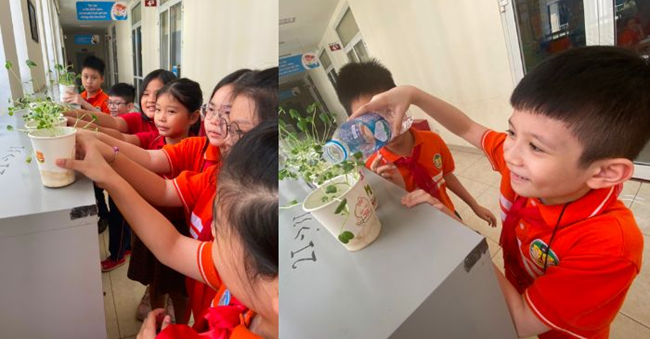 Khai giảng XANH: Thành quả Gieo hạt của các em học sinh trường Tiểu học CLC Tràng An 22 Khai giảng XANH: Thành quả Gieo hạt của các em học sinh trường Tiểu học CLC Tràng An 22