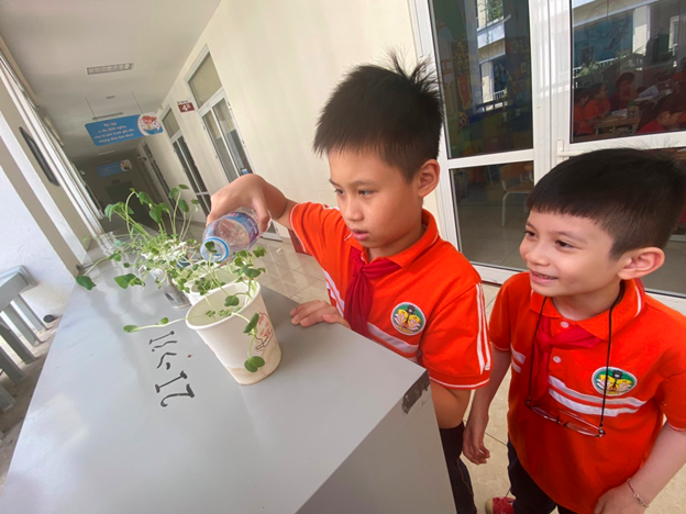 Khai giảng XANH: Thành quả Gieo hạt của các em học sinh trường Tiểu học CLC Tràng An 23 Khai giảng XANH: Thành quả Gieo hạt của các em học sinh trường Tiểu học CLC Tràng An 23