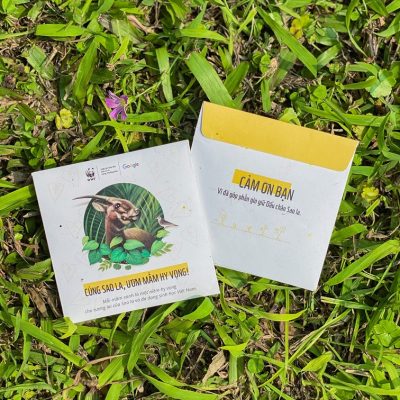 Gieo đồng hành cùng Google và WWF ươm mầm hy vọng cho Sao la 15 Gieo đồng hành cùng Google và WWF ươm mầm hy vọng cho Sao la 15