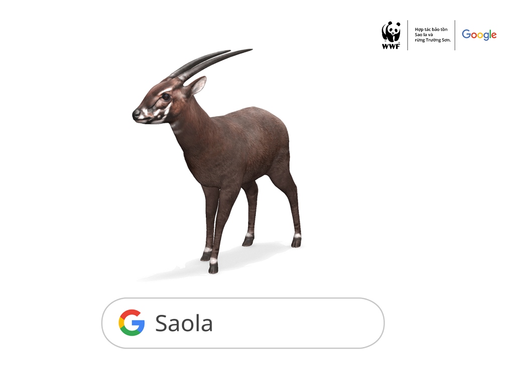 Gieo đồng hành cùng Google và WWF ươm mầm hy vọng cho Sao la 2 Gieo đồng hành cùng Google và WWF ươm mầm hy vọng cho Sao la 2