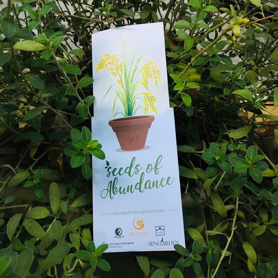 Hương Sen Healthcare tặng khách hàng phong bao hạt giống - bản tiếng Anh 2 Hương Sen Healthcare tặng khách hàng phong bao hạt giống - bản tiếng Anh 2