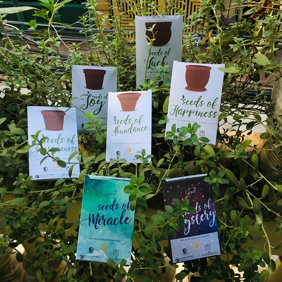Hương Sen Healthcare tặng khách hàng phong bao hạt giống - bản tiếng Anh 3 Hương Sen Healthcare tặng khách hàng phong bao hạt giống - bản tiếng Anh 3