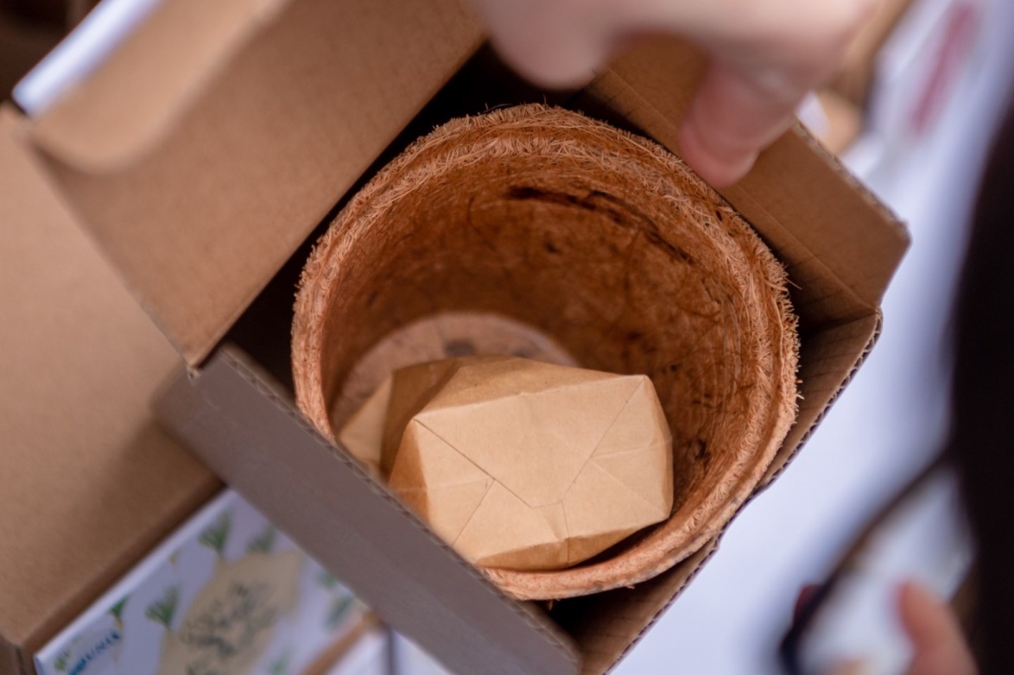 UNIS Hanoi tặng quà hạt giống từ Gieo cho khách tới giải chạy Kids run the Earth 18 UNIS Hanoi tặng quà hạt giống từ Gieo cho khách tới giải chạy Kids run the Earth 18