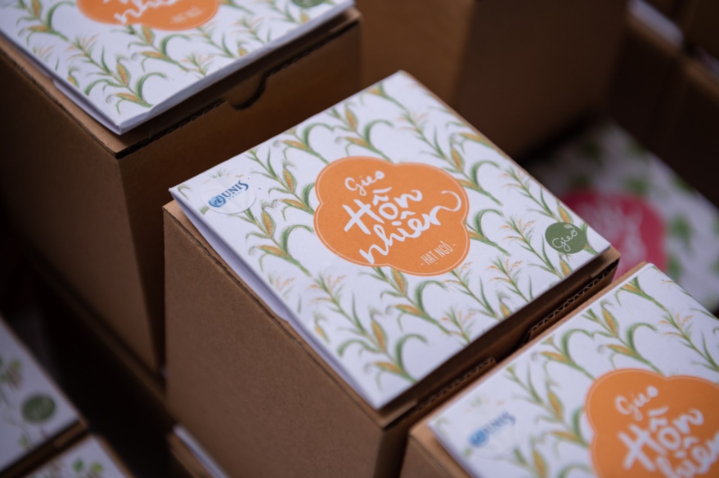 UNIS Hanoi tặng quà hạt giống từ Gieo cho khách tới giải chạy Kids run the Earth 4 UNIS Hanoi tặng quà hạt giống từ Gieo cho khách tới giải chạy Kids run the Earth 4