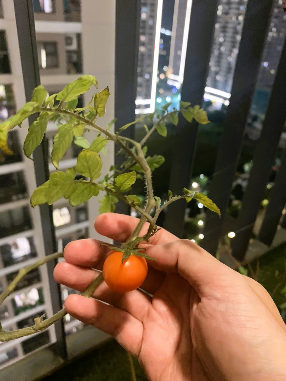 Tổng hợp thành quả gieo hạt của khách hàng 26 Tổng hợp thành quả gieo hạt của khách hàng 26