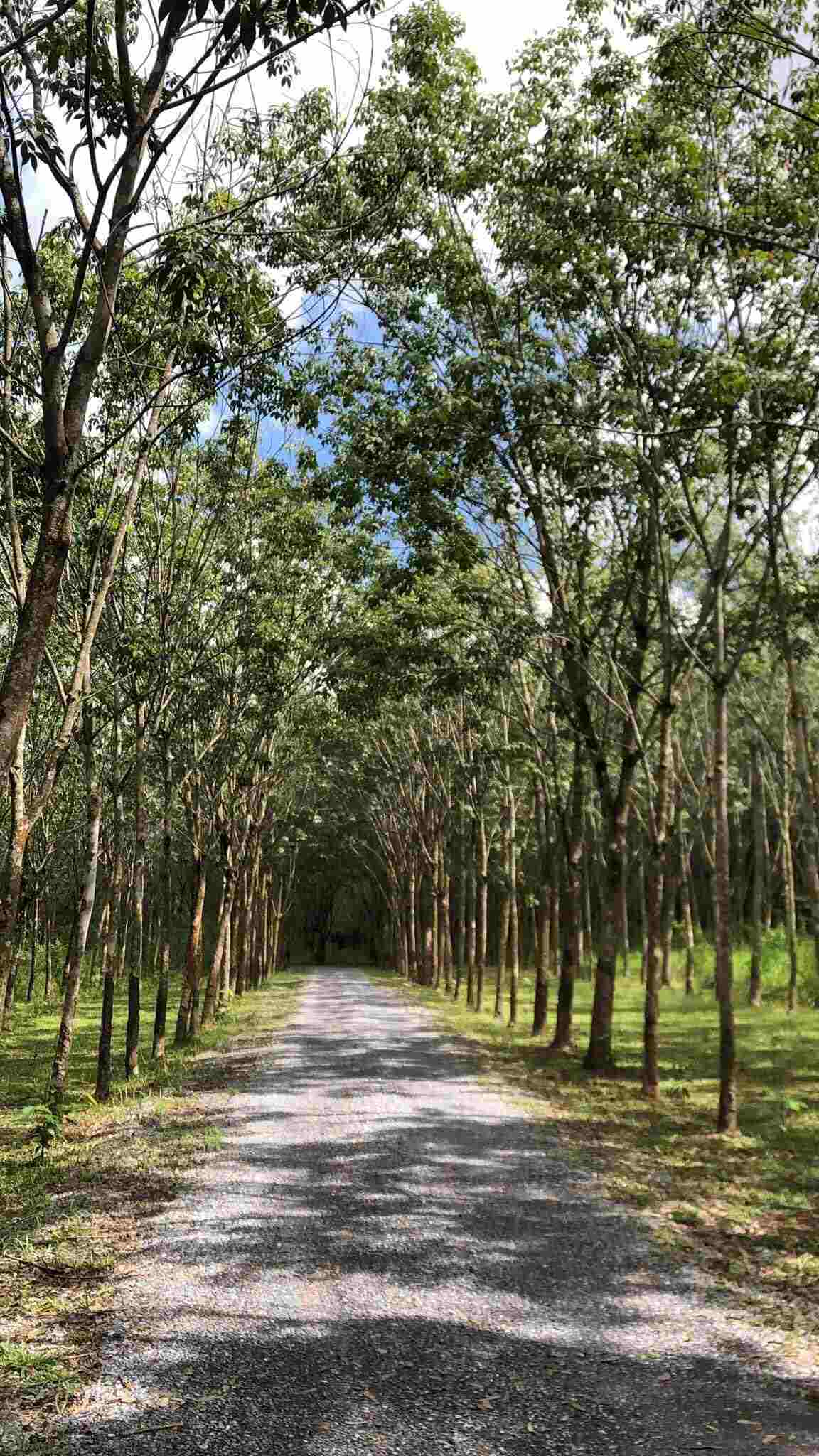 Trang Lưu: Cảm ơn Trao Group đã cho mình cơ hội được tìm về chính mình 6 Trang Lưu: Cảm ơn Trao Group đã cho mình cơ hội được tìm về chính mình 6