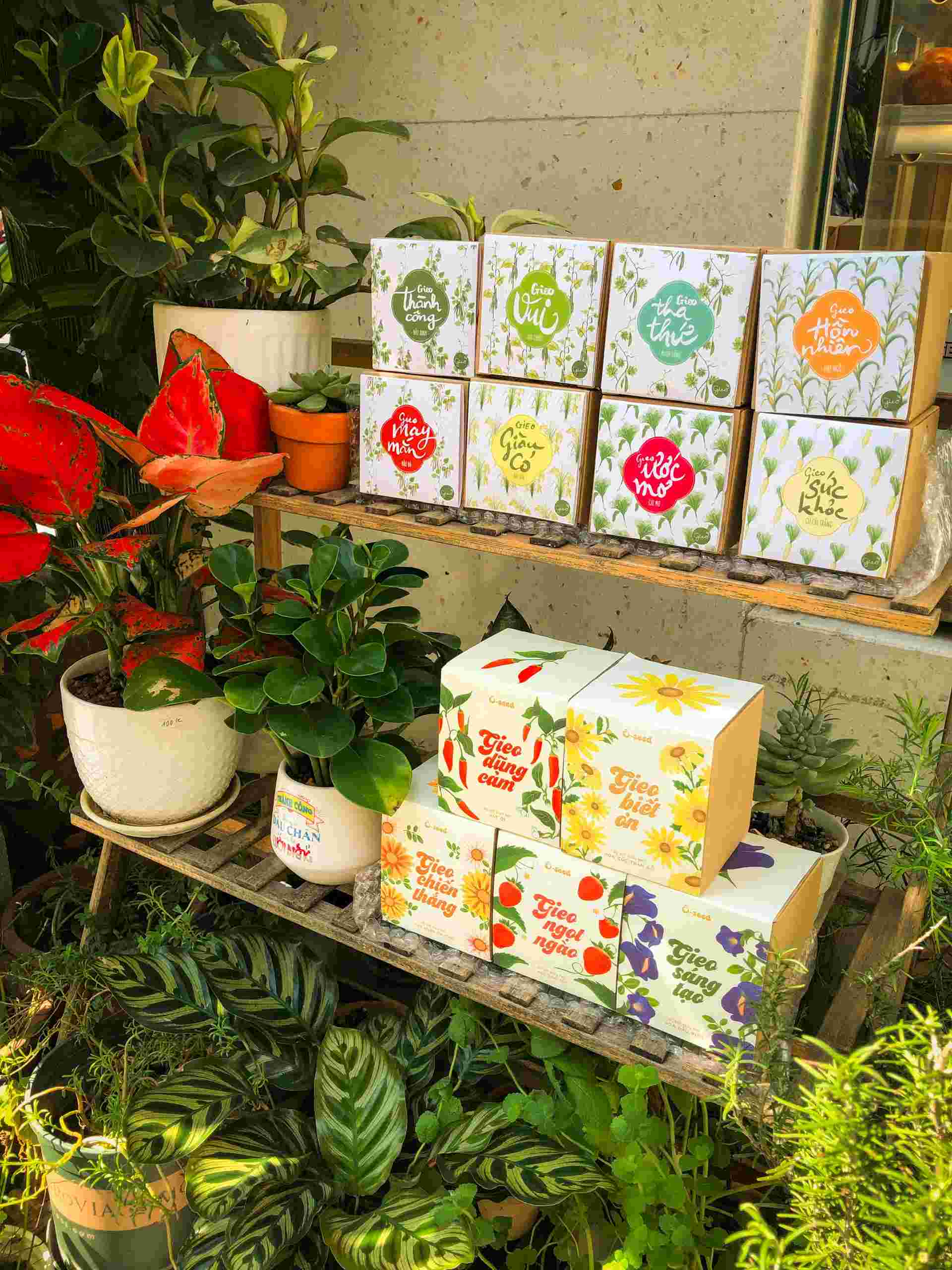 Hà Nội: Lên phố sách mua quà tặng hạt giống ở Cafe Đơn 2 Hà Nội: Lên phố sách mua quà tặng hạt giống ở Cafe Đơn 2