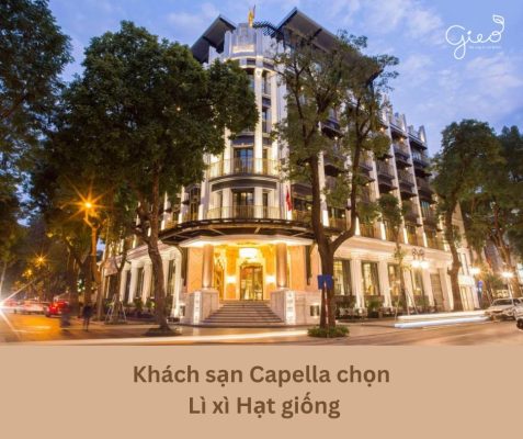Khách sạn Capella - nhà Black Pink cũng chọn Lì xì Hạt giống cho tết 2024 18