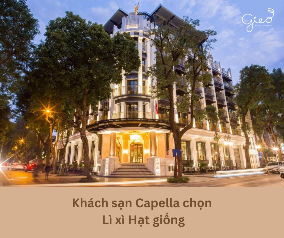 Khách sạn Capella - nhà Black Pink cũng chọn Lì xì Hạt giống cho tết 2024 3 Khách sạn Capella - nhà Black Pink cũng chọn Lì xì Hạt giống cho tết 2024 3