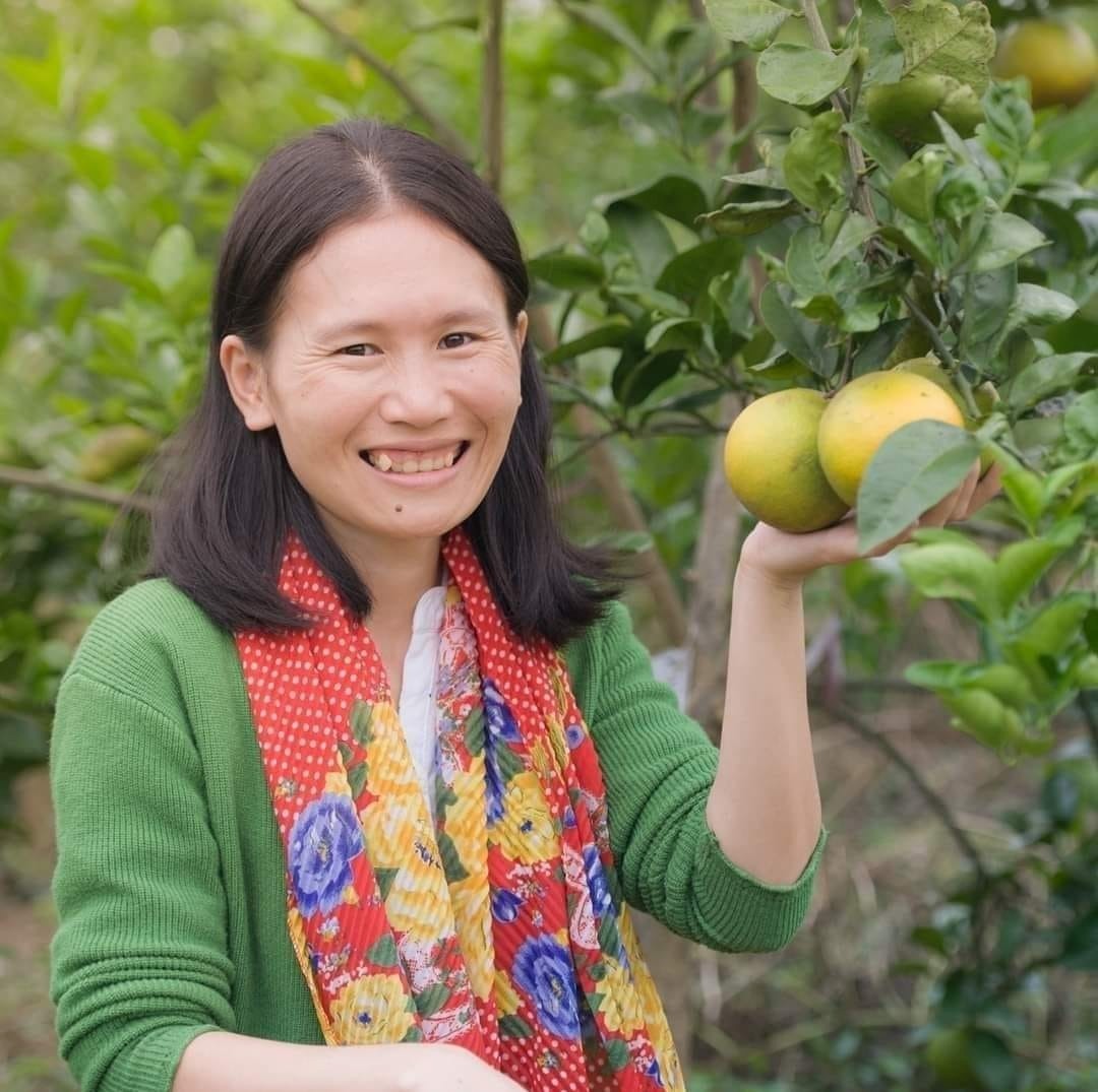 Lì xì Hạt giống 94