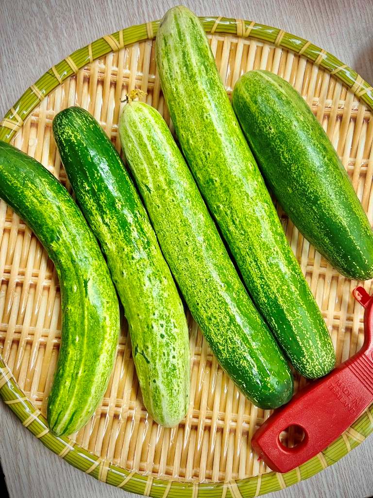 [Hà Nội] - Cùng cô trò Trường Marie Curie chia sẻ niềm vui thu hoạch từ Lì xì Hạt giống 9