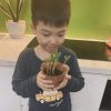 Combo 40 set chậu cây và đất (không bao gồm hạt) 5 Combo 40 set chậu cây và đất (không bao gồm hạt) 3