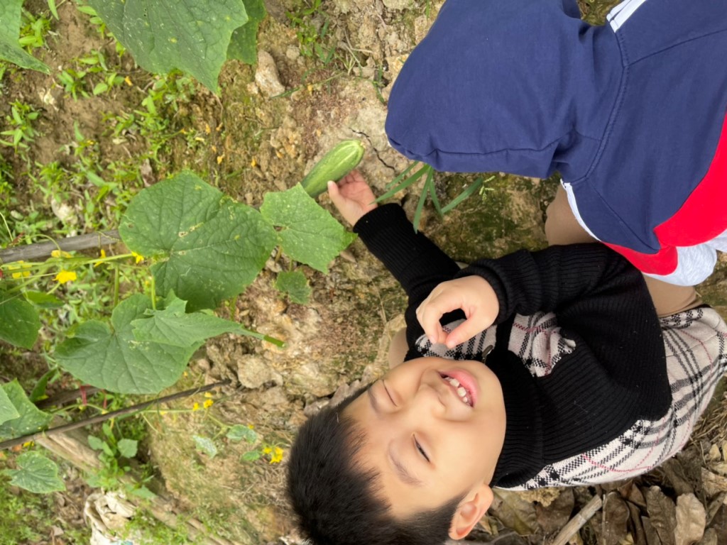 [Hà Nội] - Cùng cô trò Trường Marie Curie chia sẻ niềm vui thu hoạch từ Lì xì Hạt giống 6