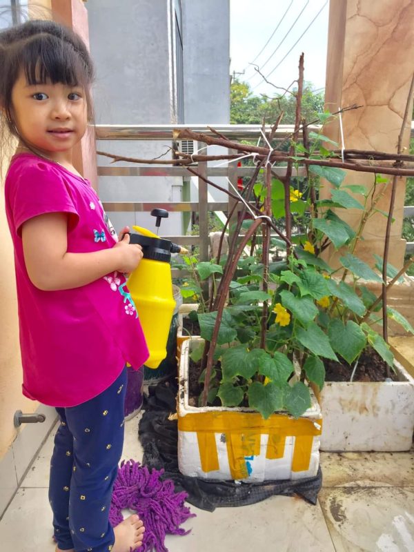 Lì xì Hạt giống 20